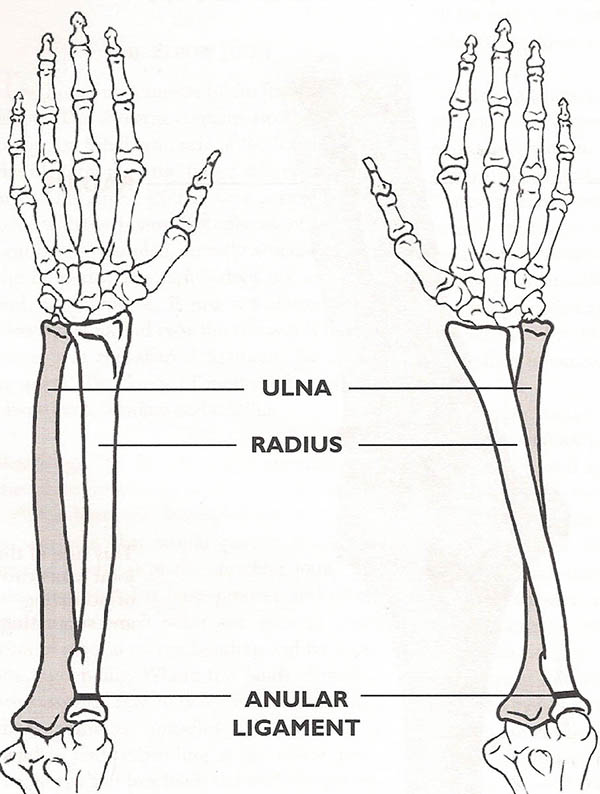 Forearm Rotation Keyboard (Intro)