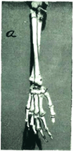 Figure 7a